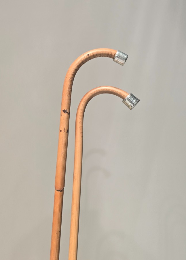 عصى اصفال